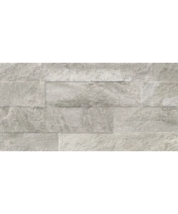 ARDESIA SILVER 31X62 SCAT. 1.54MQ